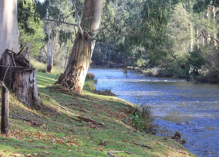 Oscar'S On The Yarra
